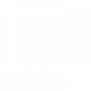 Elephant Protects